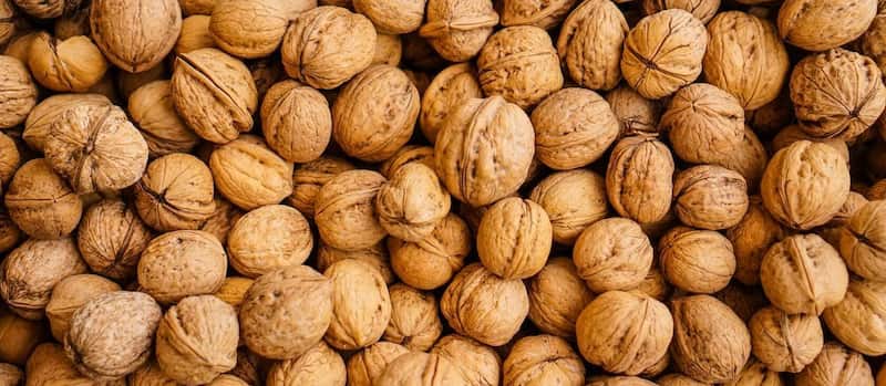 تصویر 4 از گردو تویسرکان همدان با پوست کاغذی و طعمی استثنایی